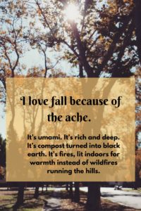 i-love-fall-because-of-the-ache